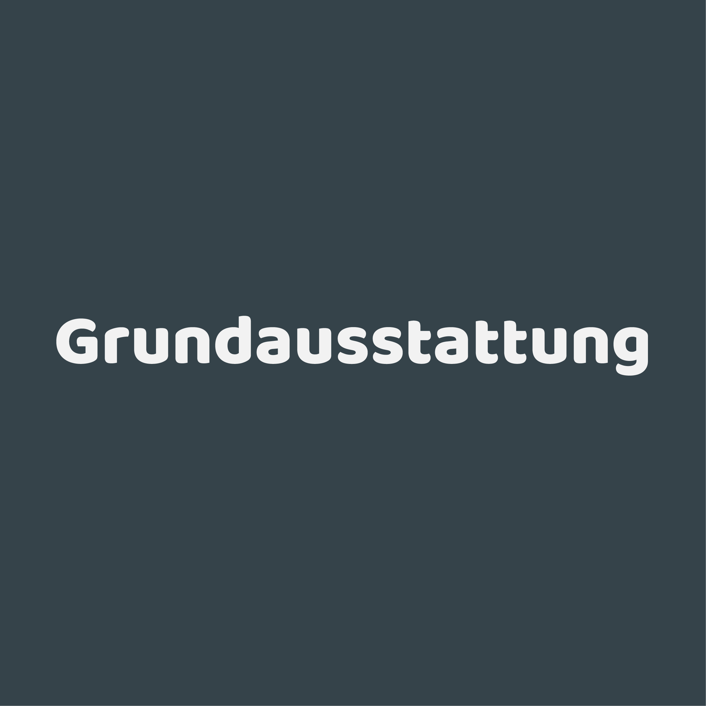 Grundaustattung