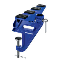 Holmenkol Skispanner Easy Ski Vise Plus